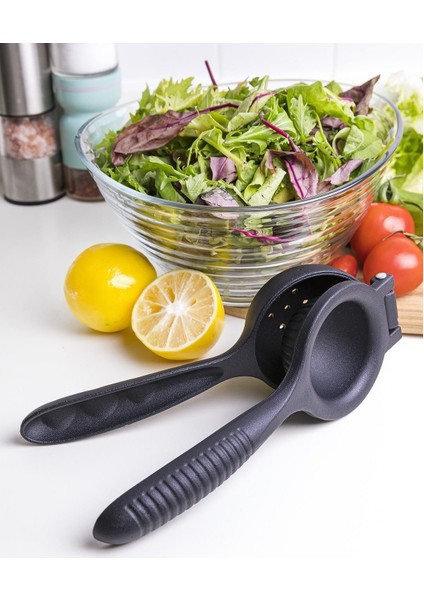 Portakal Narenciye Limon Sıkacağı Döküm fiyatları