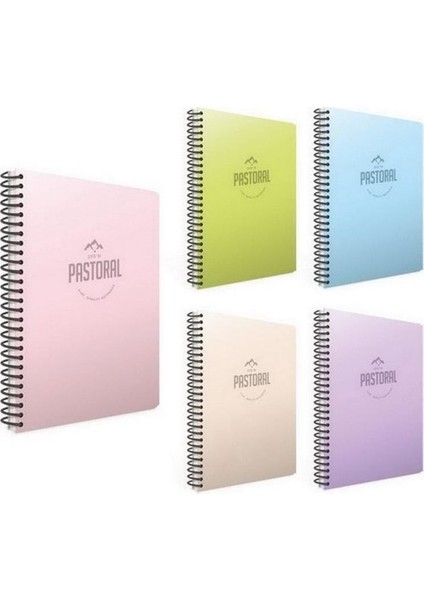 Pastoral Spiralli PP Kapak A4 96 Yaprak Okul Defteri 3 Kareli + 2 Çizgili 5'li Set