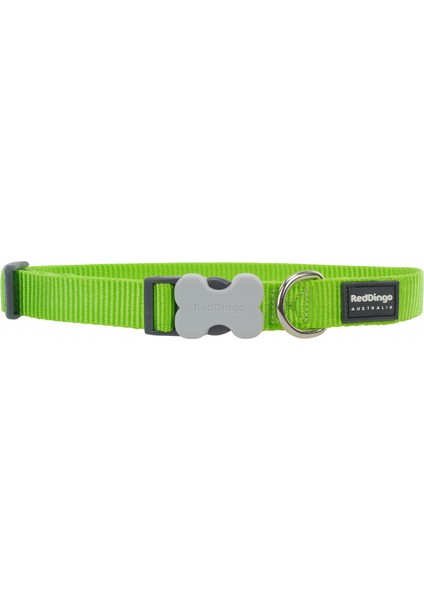 Klasik Lime Köpek Boyun Tasması L 25MM / 41-63 cm