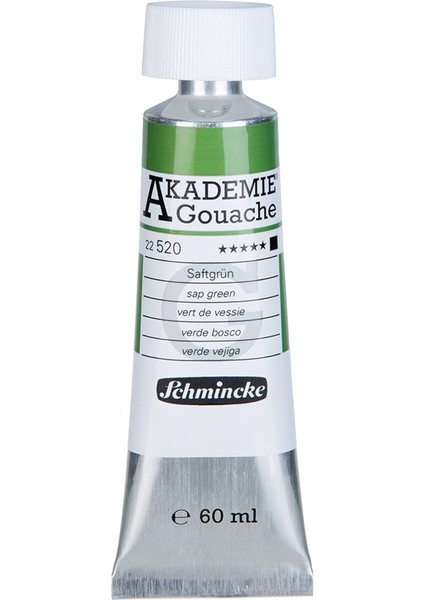 Akademie Guaj Boya  60 ml  520 Sap Green