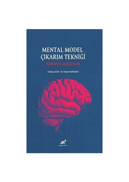 Mental Model Çıkarım Tekniği: Nedensel Haritalar