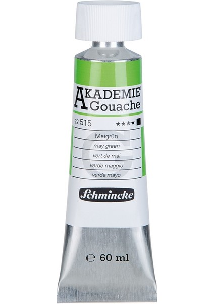 Akademie Guaj Boya 60 ml 515 May Green