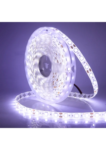 5 Metre 3 Çipli Silikonlu Beyaz Şerit Led - 5050 Smd