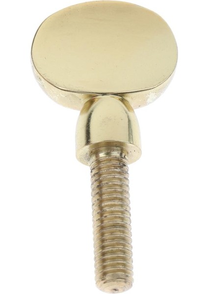 2 Adet Pirinç Saksafon Boyun Alıcısı Sıkma Vidası Yedek Parçalar Altın (Yurt Dışından) modelleri