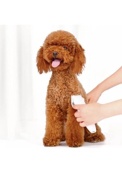 Youpin Pawbby Köpek Profesyon Razor Beyaz (Yurt Dışından)