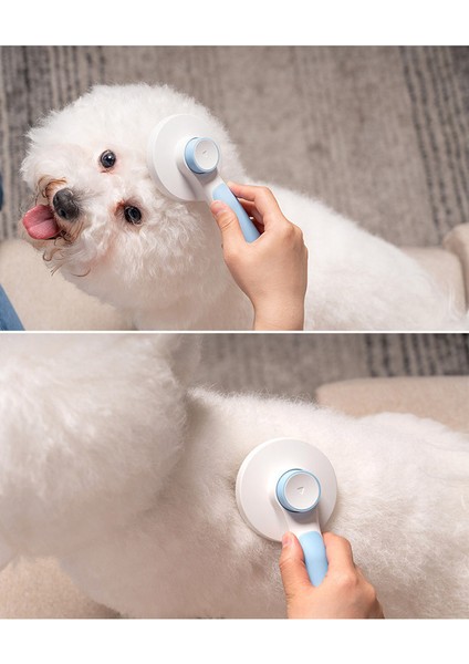 Lovehome Evcil Hayvanlar Için Ince Iğneli Tarama Fırçası - Mavi (Yurt Dışından) fiyatları