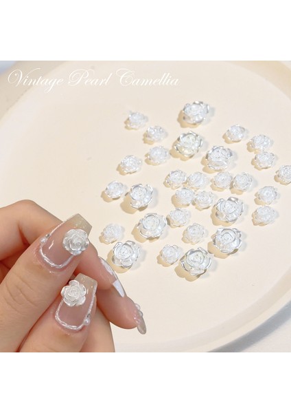 5 Paket SP0473 30 Pccs/paket 3D Camellia Tırnak Sanatı Dekoratif Rhinestones (Şeffaf) (Yurt Dışından)