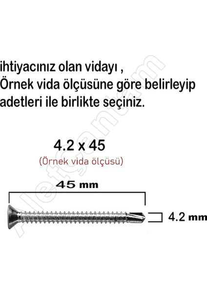 Matkap Uçlu Vida Akıllı Apex Vidası 3.9X25 - 100 Adet