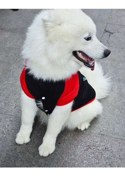 Köpekler Için Süper Kahraman Temalı Kıyafet - Siyah (Yurt Dışından) modelleri