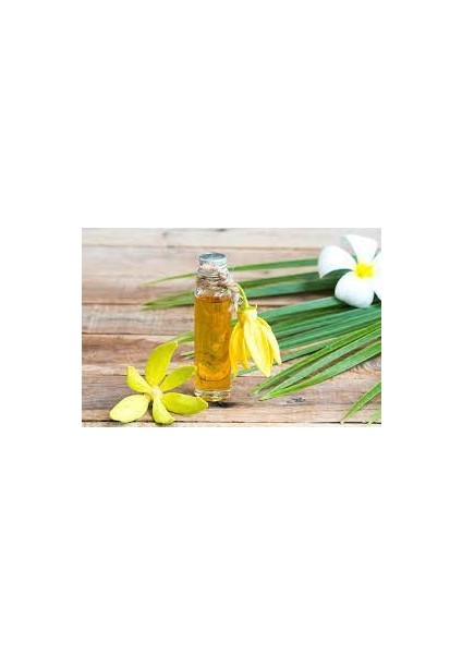 Doğa Ylang Ylang 20 ml