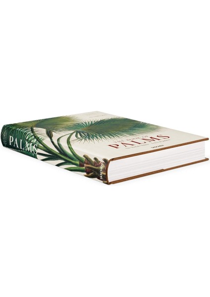 The Book of Palms / Das Buch der Palmen / Le livre des palmiers