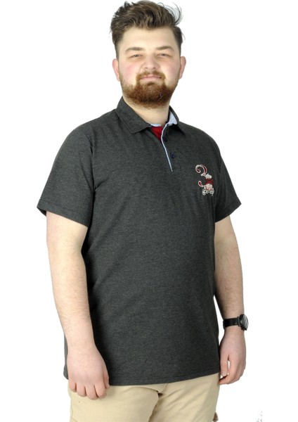 Büyük Beden T-Shirt Polo 3 Crown 22331 Antrasit modelleri