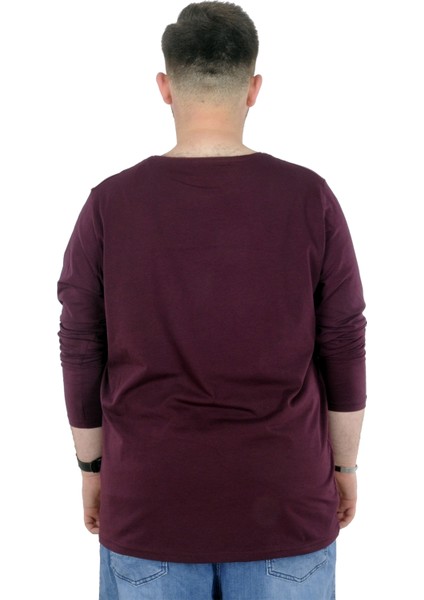 Büyük Beden Erkek Tshirt Likralı Bisiklet Yaka 20102 Mürdüm fiyatları
