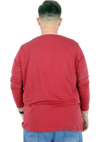 Büyük Beden Erkek Tshirt Likralı Bisiklet Yaka 20102 Bordo modelleri