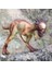 27 cm Gerçekçi Pachycephalosaurus Jurassic Dünya Katı Şekil Dinozorlar Oyuncaklar Çocuklar Için Film Dinozor Model Oyuncaklar Hediye Çocuklar Için | Aksiyon Figürleri 4