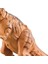 Dinozor Tyrannosaurus Hayvan Sesleri Dinobot Elektrikli Yürüyüş Hayvanlar Oyuncak Müzik Işık Sprey Oyuncaklar Çocuklar Noel Hediyesi | Elektronik Evcil Hayvanlar(Yurt Dışından) 3