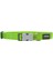 Klasik Lime Köpek Boyun Tasması L 25MM / 41-63 cm 1