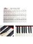 2xclear Elektronik Piyano Anahtar Etiketi 54 / 61 / 88 Keys Siyah (Yurt Dışından) 5