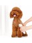 Youpin Pawbby Köpek Profesyon Razor Beyaz (Yurt Dışından) 1