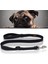 Pet Dogs Nylon Night Reflective Tr Lead Leash - Siyah (Yurt Dışından) 1