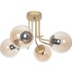  Renk Gold - Bal Rengi