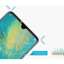 Ally Huawei Mate 20 Ekran Koruyucu Cam