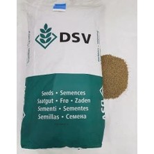 DSV Çim Tohumu 10 Kg