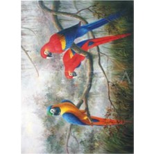 Artebella Artebella 1604V Extra Büyük Kolay Transfer (Açık Zeminde Uygulanır-35 x 50 cm)