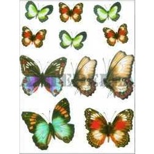Artebella Artebella 1238V Küçük Kolay Transfer 17x24 cm  (Açık Zeminde Uygulanır,)