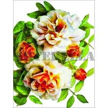 Artebella Artebella 1264V Küçük Kolay Transfer 17x24 cm (Açık Zeminde Uygulanır,)