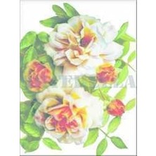 Artebella Artebella 1264K Küçük Kolay Transfer 17x24 cm (Koyu Zeminde Uygulanır,)