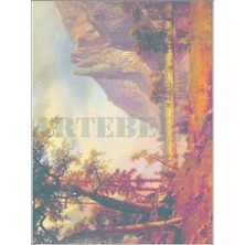 Artebella Artebella 1355K Büyük Kolay Transfer 23x34 (Koyu Zeminde Uygulanır)