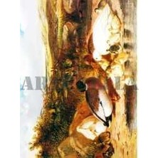Artebella Artebella 1373V Büyük Kolay Transfer 23x34 (Açık Zeminde Uygulanır)