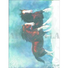 Artebella Artebella 1374K Büyük Kolay Transfer 23x34 (Koyu Zeminde Uygulanır)