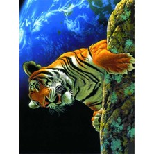 Artebella Artebella 1375V Büyük Kolay Transfer 23x34 (Açık Zeminde Uygulanır)