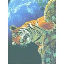 Artebella Artebella 1375K Büyük Kolay Transfer 23x34 (Koyu Zeminde Uygulanır)