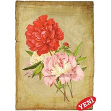 Artebella Artebella 1426V Büyük Kolay Transfer 23x34   (Açık Zeminde Uygulanır)