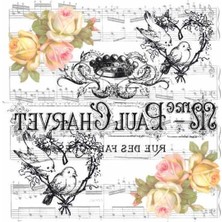 Artebella Artebella 5810V Home Design 25x25 cm (Açık Zeminde Uygulanır)