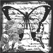 Artebella Artebella 5815V Home Design 25x25 cm (Açık Zeminde Uygulanır)