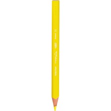 Bic Kids Evolution Üçgen Jumbo Kuru Boya Kalemi 12'li Kutu