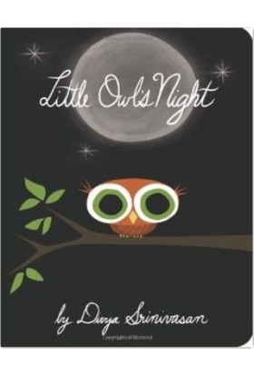 Little Owl'S Night
