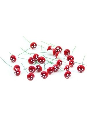 Dekorsende Teraryum Mini Mantar 24 Lü