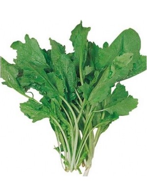 Fide Sepeti Tere Tohumu 10gr 1 Paket