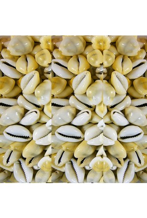 Kiloluk Deniz Kabuklari Deniz Urunleri