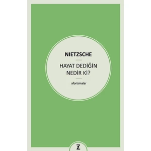 Hayat Dediğin Nedir ki?