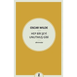 Hep Bir Şeyi Unutmuş Gibi
