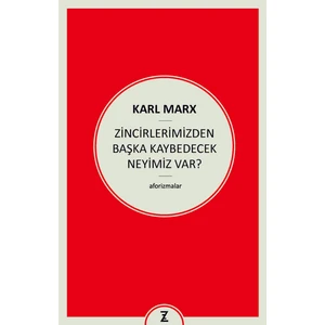 Zincirlerimizden Başka Kaybedecek Neyimiz Var - Karl Marx