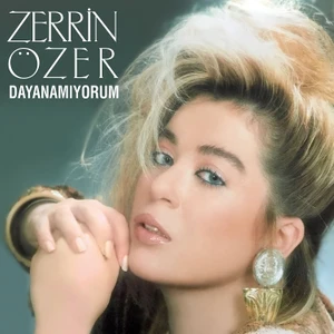 Zerrin Özer - Dayanamıyorum - Plak