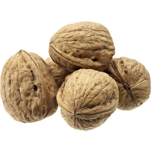 Güney Kuruyemiş Kabuklu Ceviz 1000 gr