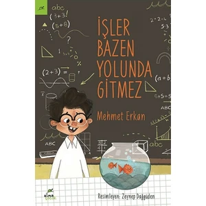 İşler Bazen Yolunda Gitmez - Mehmet Erkan